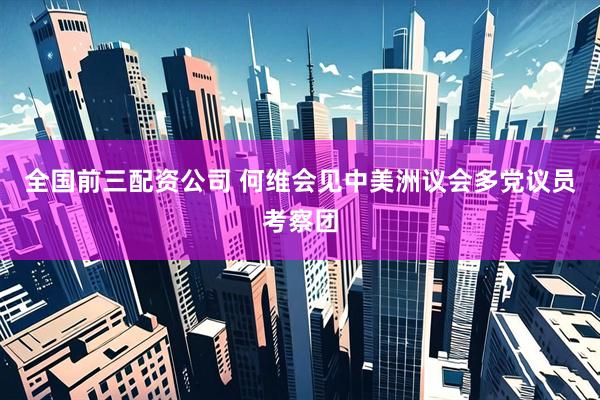全国前三配资公司 何维会见中美洲议会多党议员考察团